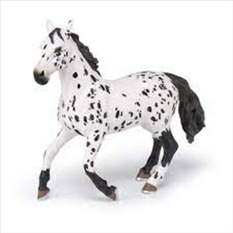 Papo - Black appaloosa horse Figurine/Product Detail/Figurines