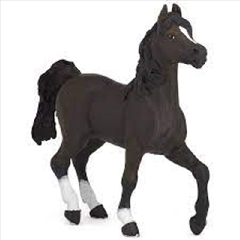 Papo - Arabian horse Figurine/Product Detail/Figurines