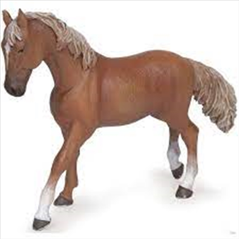 Papo - Alezan English thoroughbred mare Figurine/Product Detail/Figurines