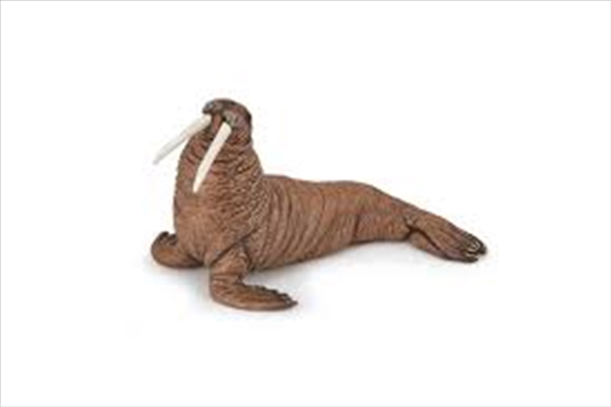 Papo - Walrus Figurine/Product Detail/Figurines