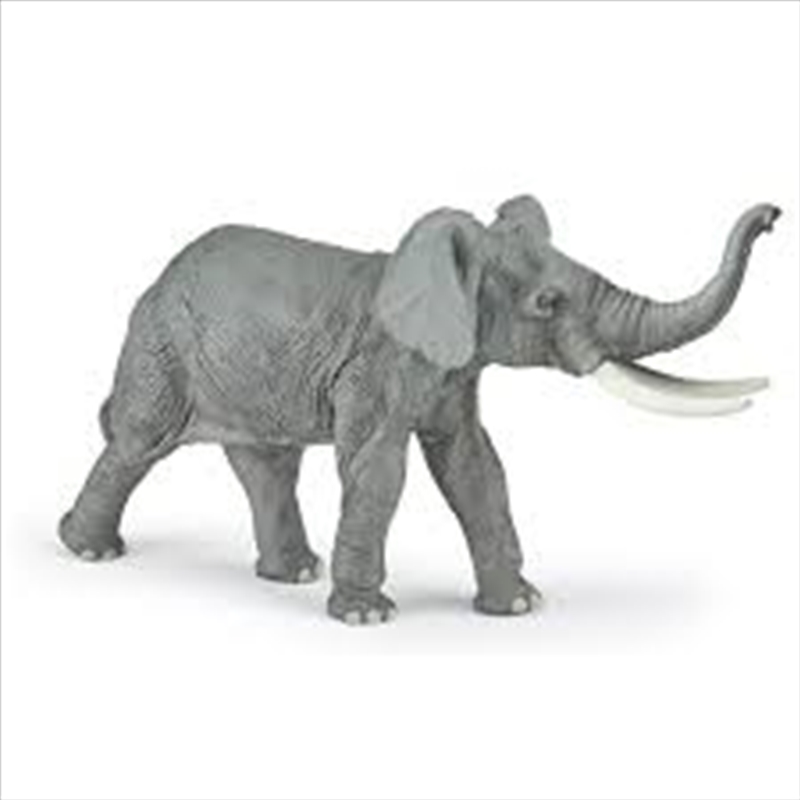 Papo - Elephant Figurine/Product Detail/Figurines