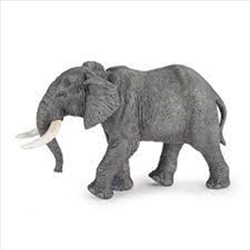 Papo - African elephant Figurine/Product Detail/Figurines