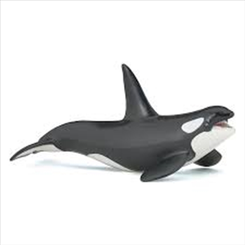 Papo - Killer whale Figurine/Product Detail/Figurines