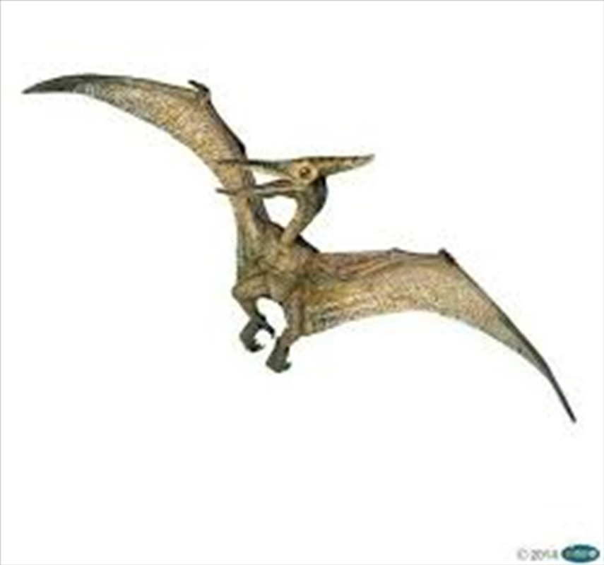 Papo - Pteranodon Figurine/Product Detail/Figurines