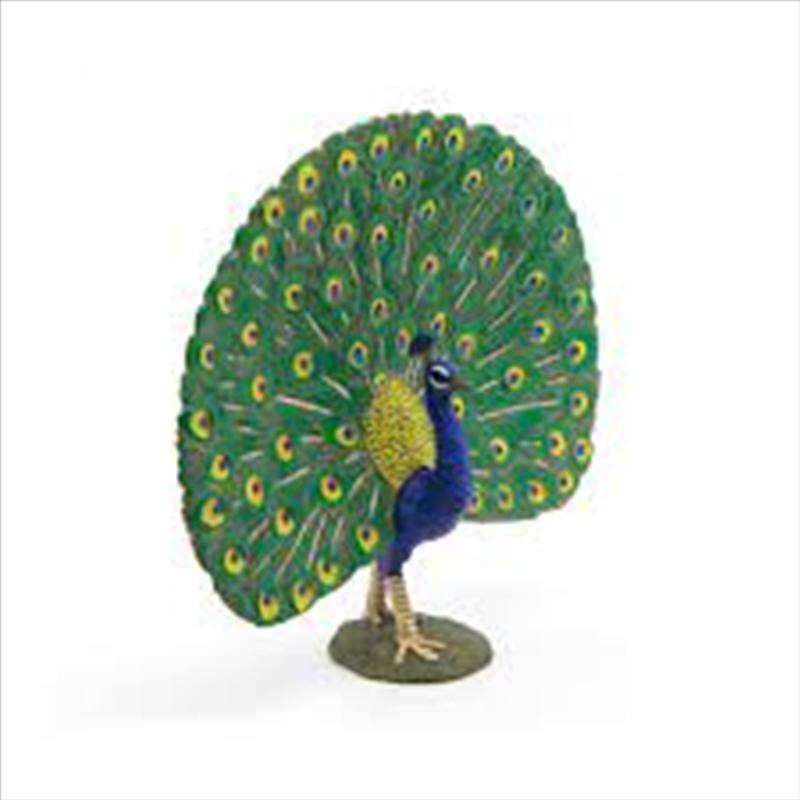 Papo - Peacock Figurine/Product Detail/Figurines