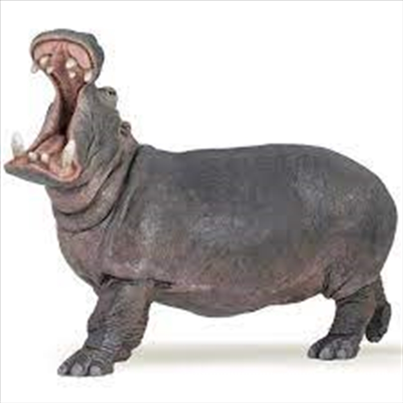 Papo - Hippopotamus  Figurine/Product Detail/Figurines