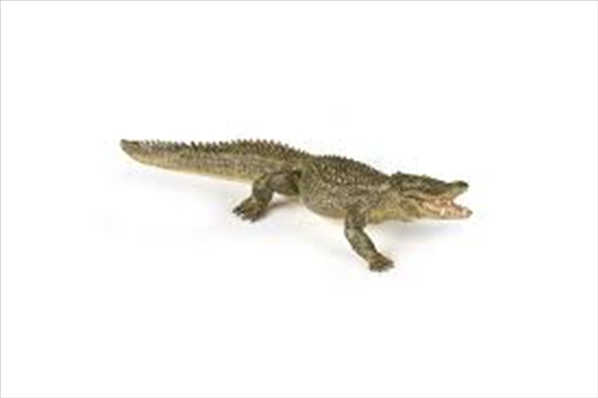 Papo - Alligator Figurine/Product Detail/Figurines