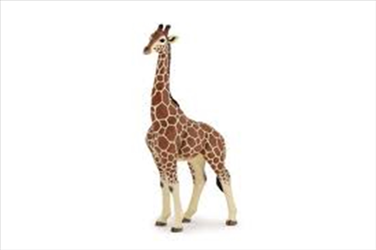 Papo - Giraffe male  Figurine/Product Detail/Figurines