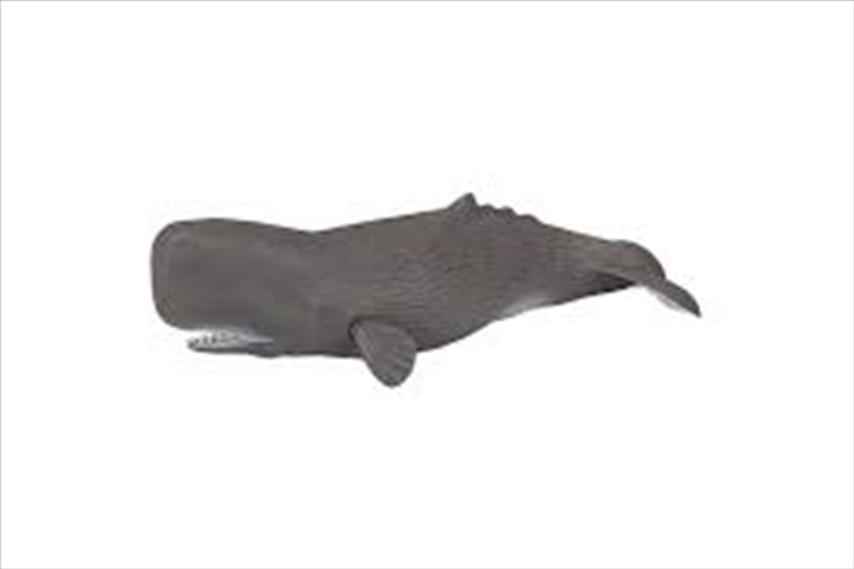 Papo - Sperm whale Figurine/Product Detail/Figurines