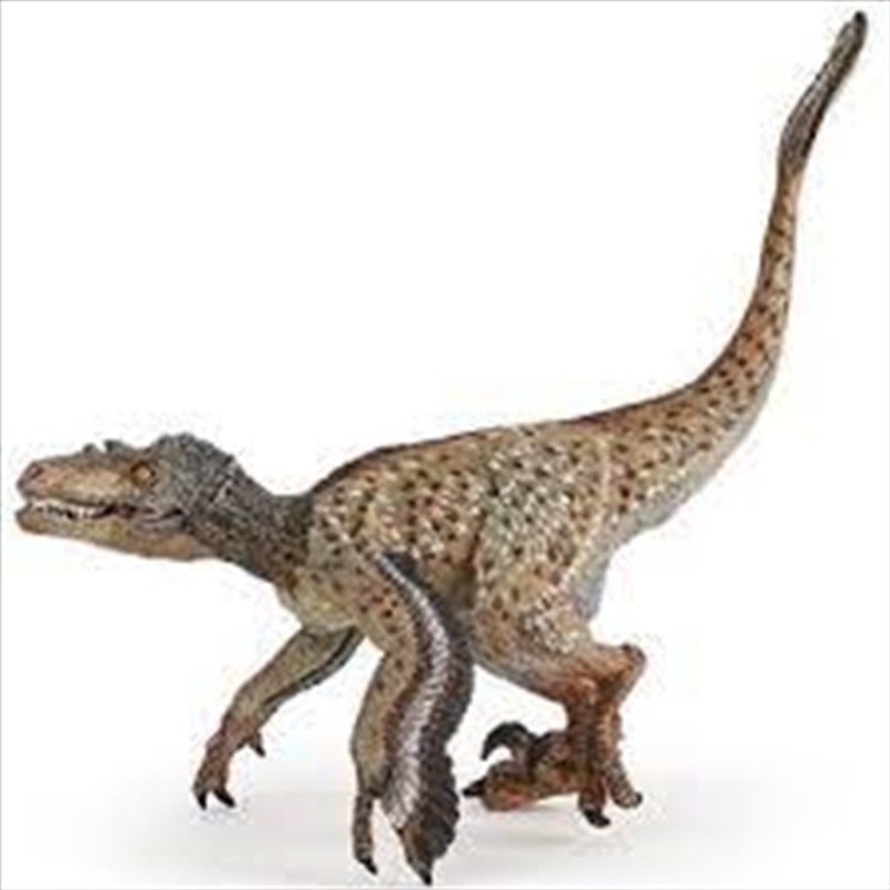 Papo - Feathered velociraptor Figurine/Product Detail/Figurines