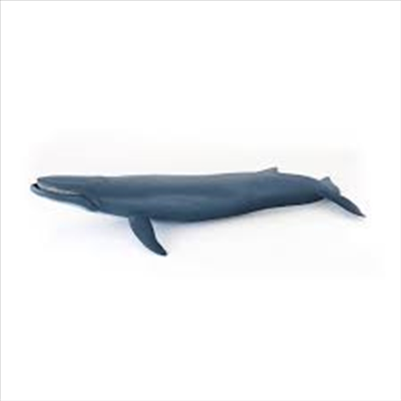 Papo - Blue whale Figurine/Product Detail/Figurines