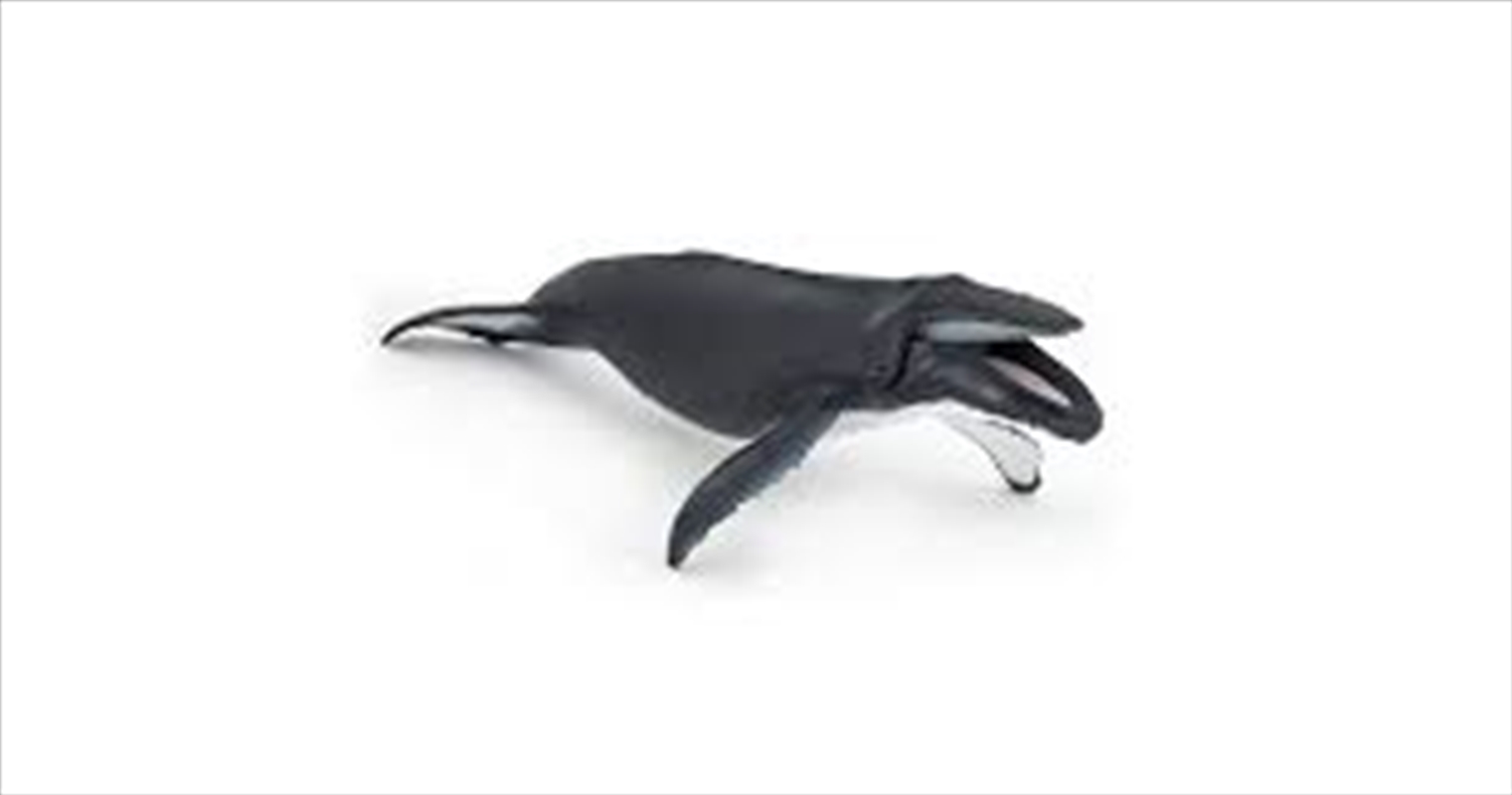 Papo - Humpback whale  Figurine/Product Detail/Figurines