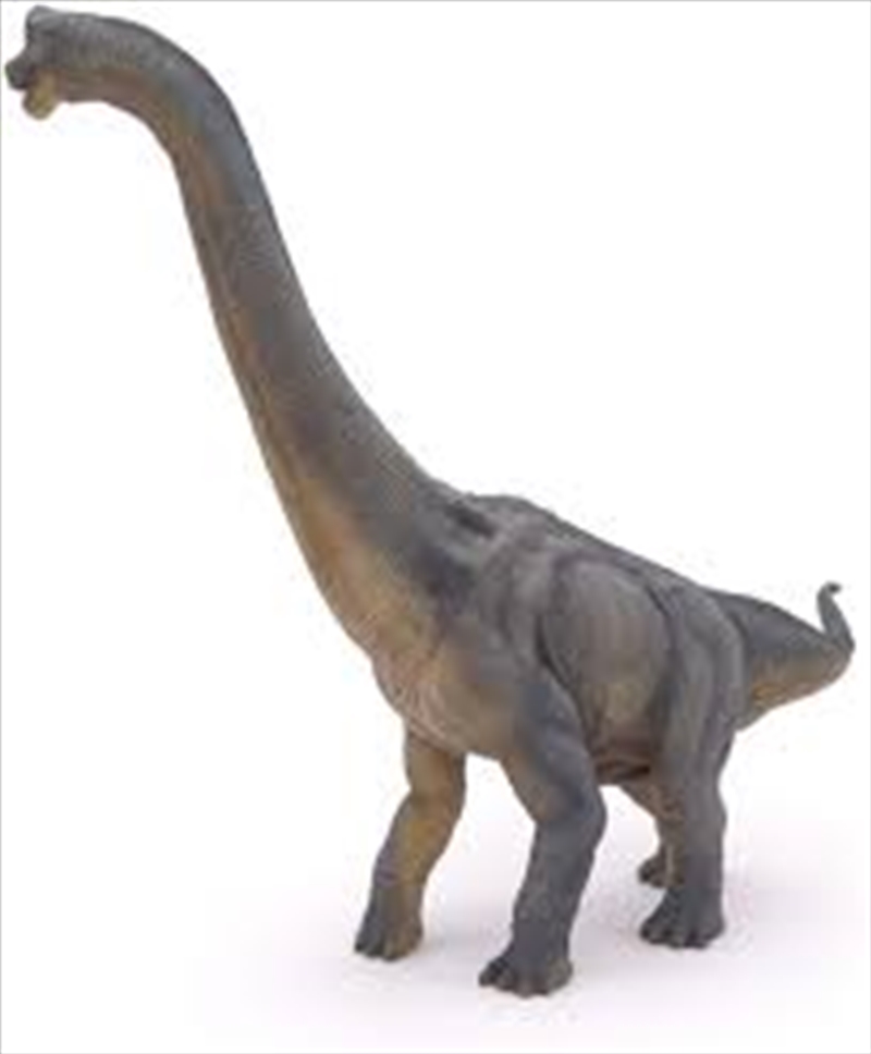 Papo - Brachiosaurus Figurine/Product Detail/Figurines