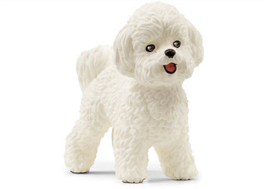 Bichon Frise/Product Detail/Toys