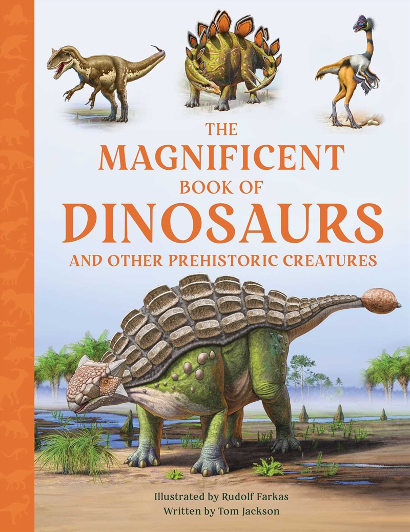 Magnificent Book of Dinosaurs/Product Detail/Early Childhood Fiction Books