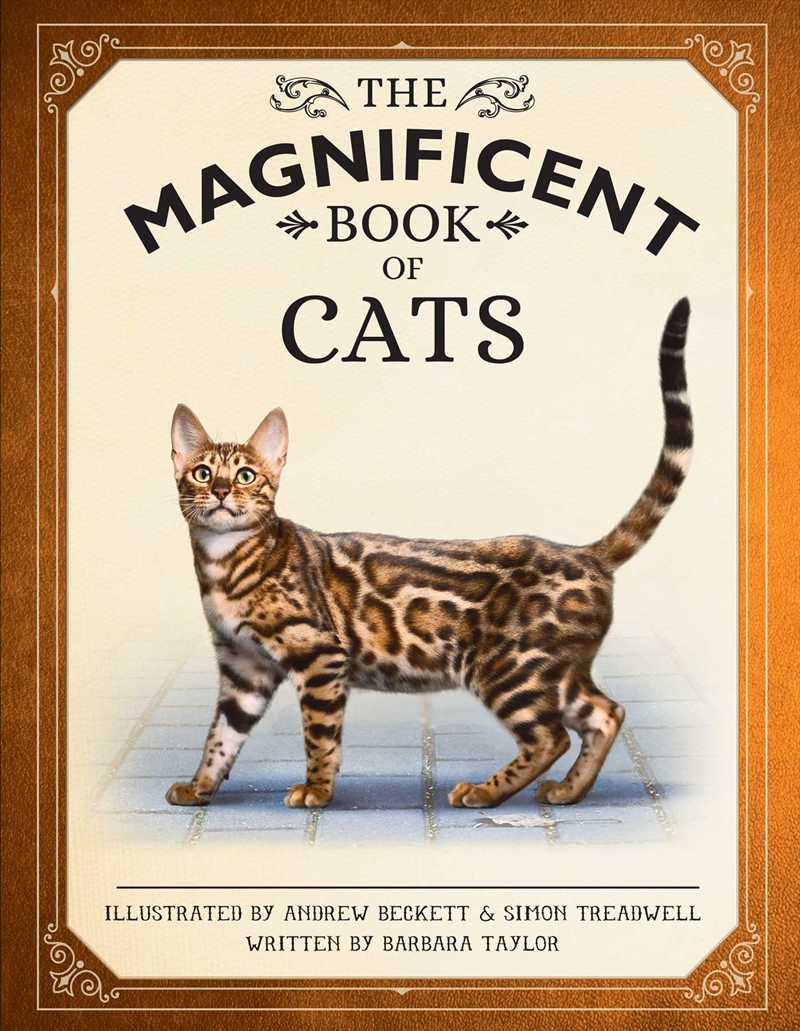 Magnificent Book of Cats/Product Detail/Childrens Fiction Books