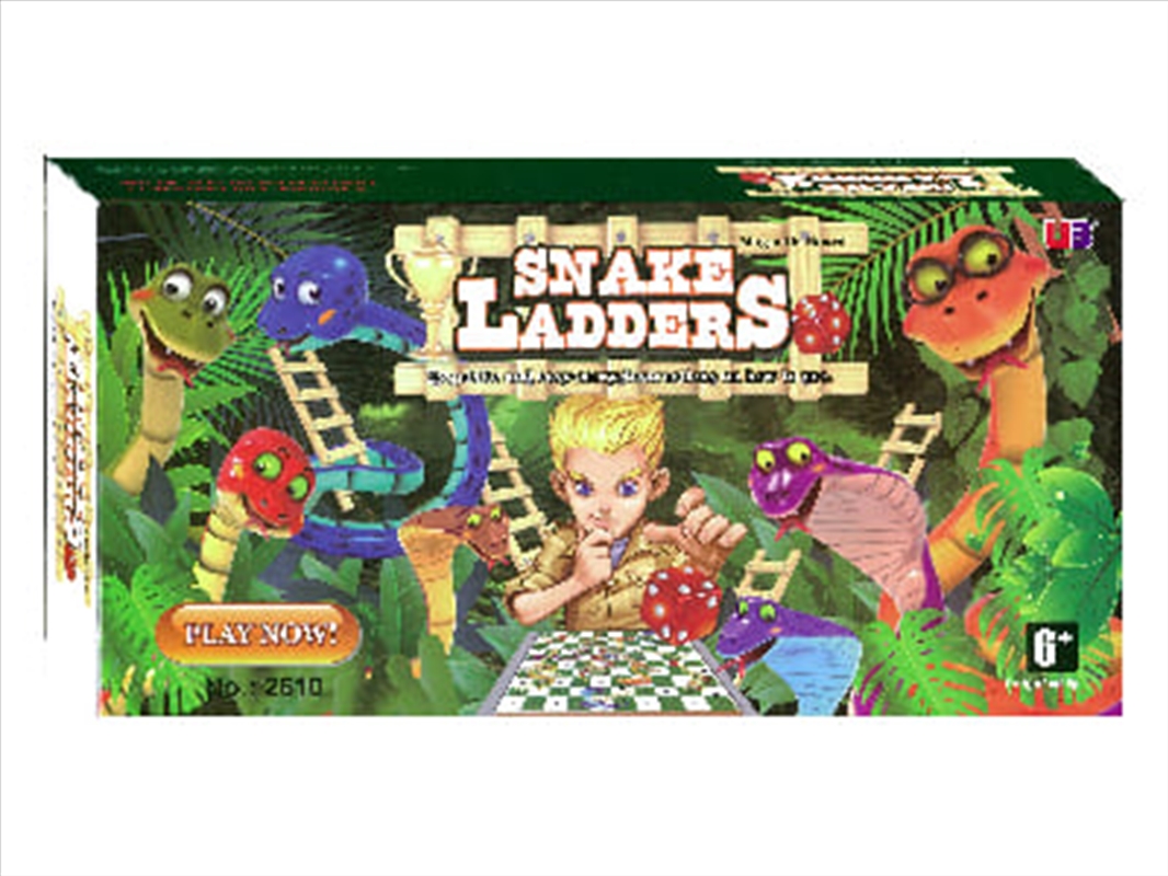 Snakes & Ladders 10" Magnetic/Product Detail/Games