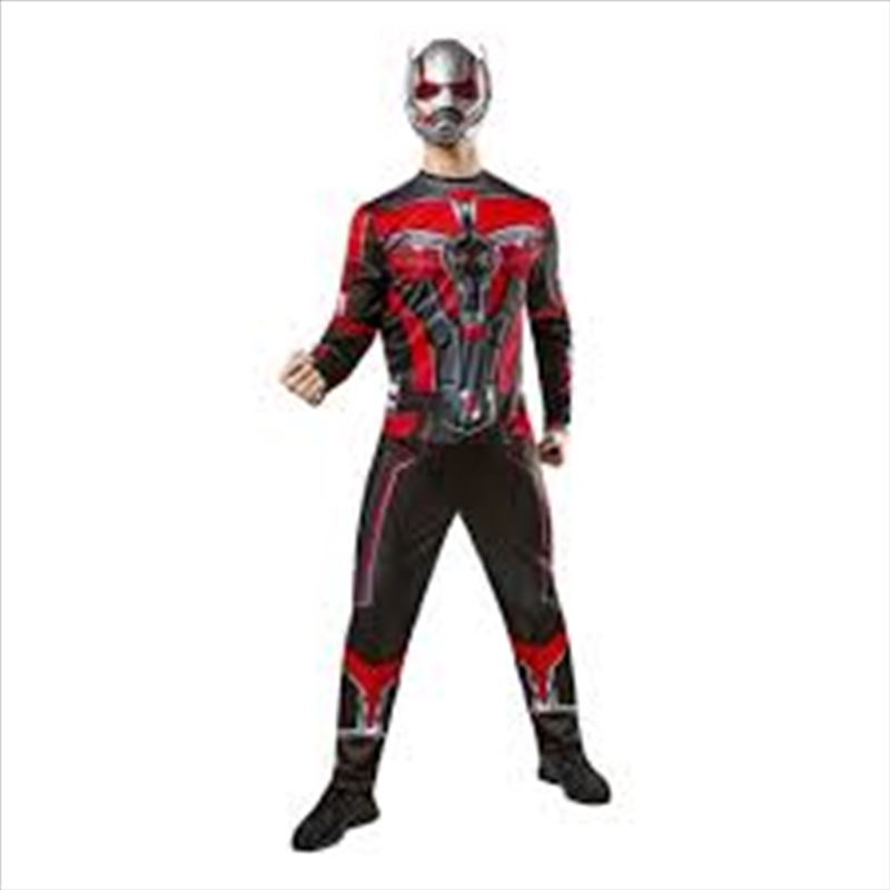 Ant-Man Quantumania Deluxe Adult Costume - Size L/Product Detail/Costumes