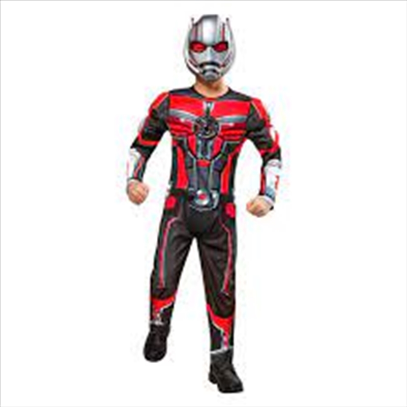 Ant-Man Quantumania Deluxe Costume - Size S 7-8 Yrs/Product Detail/Costumes