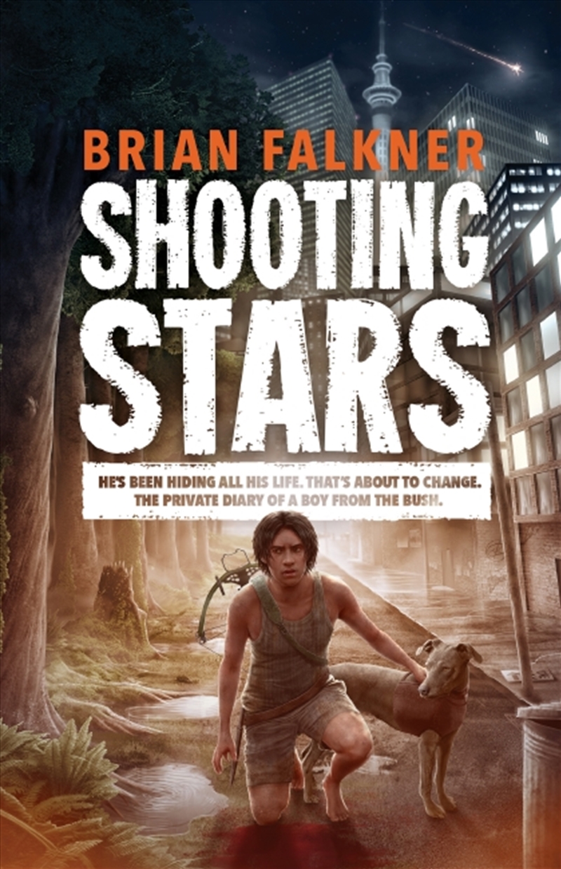 Shooting Stars/Product Detail/Young Adult Fiction