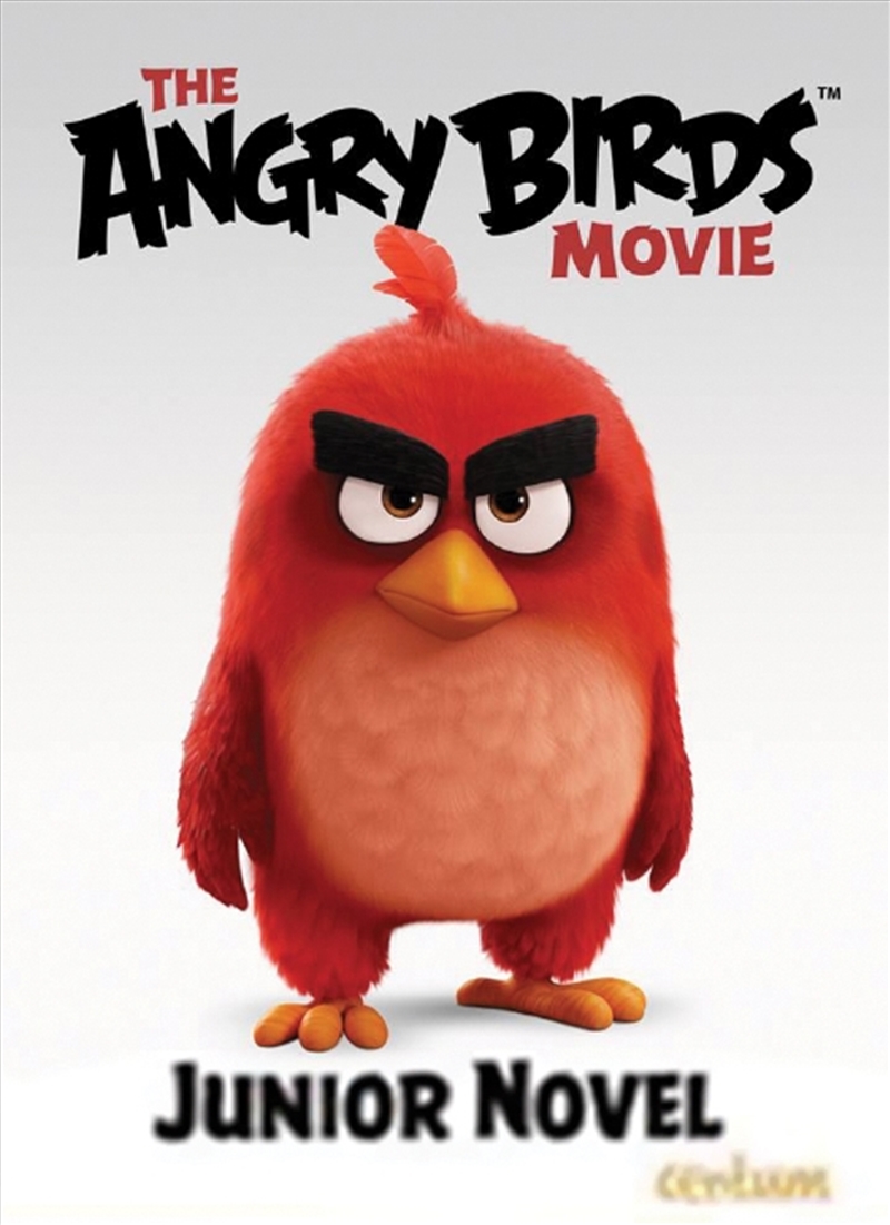 Angry Birds Junior Movie Novel/Product Detail/Childrens Fiction Books