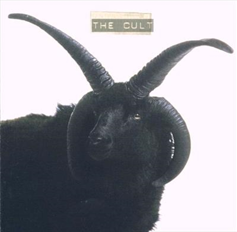 The Cult/Product Detail/Metal