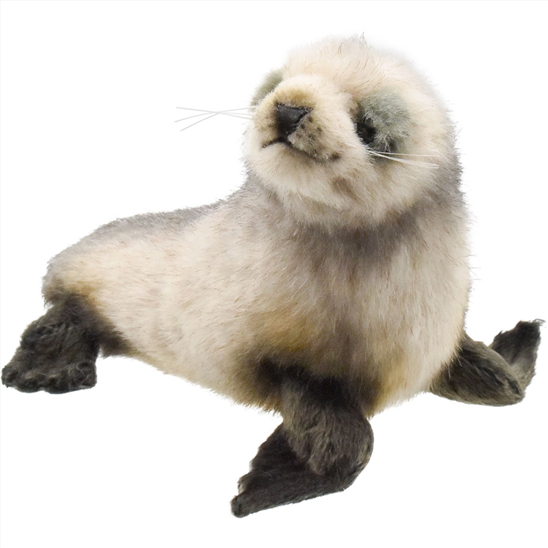 Fur Seal Australian Pup 26cm/Product Detail/Plush Toys