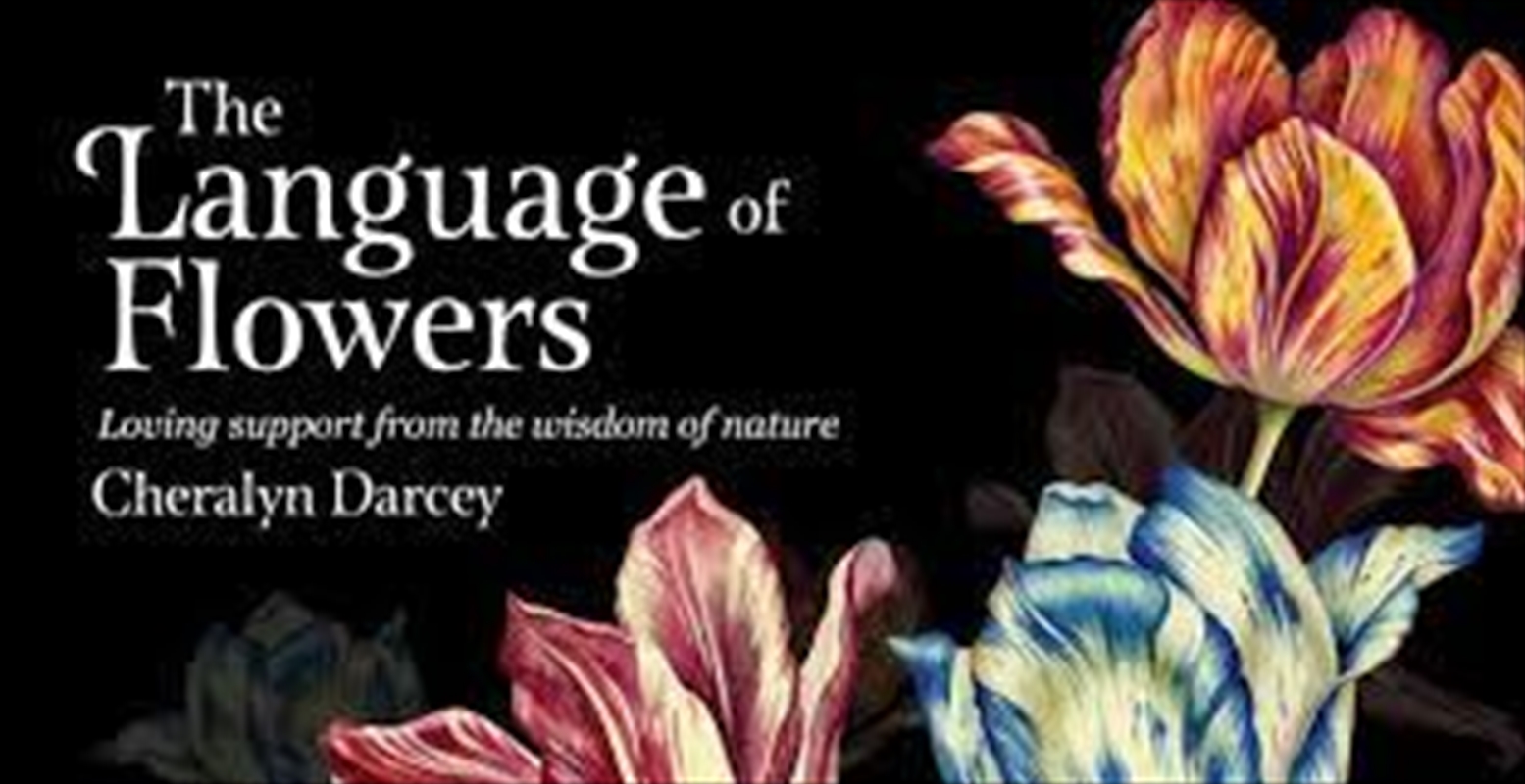 Language of Flowers/Product Detail/Tarot & Astrology