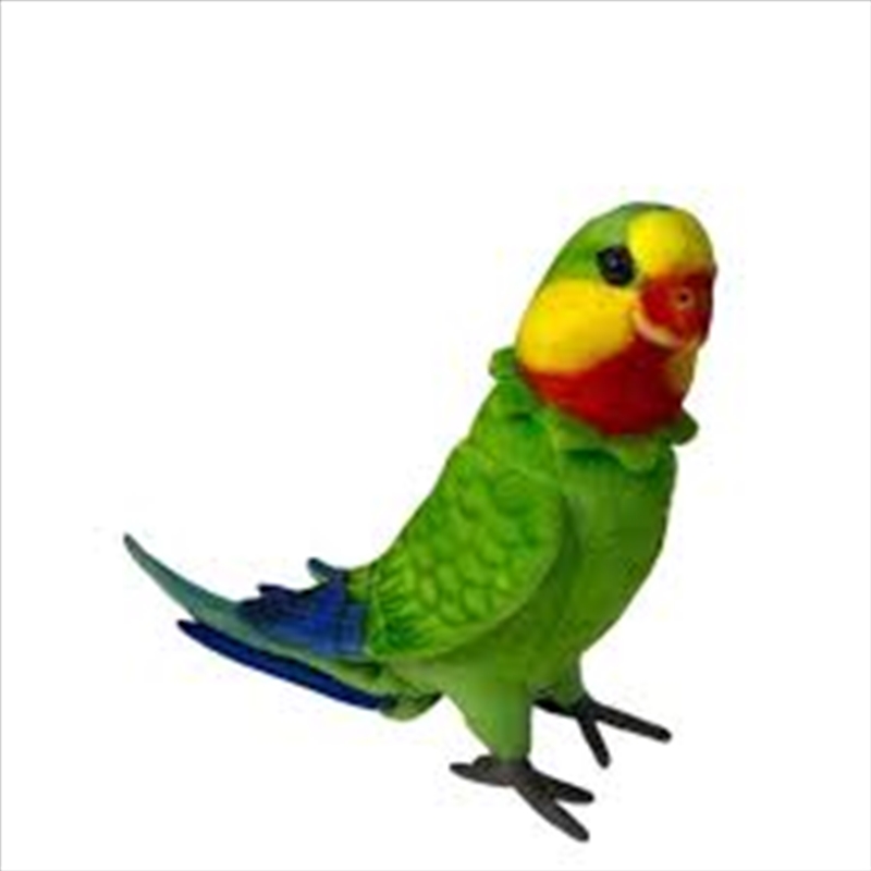 Poseable Superb Parrot 30cm/Product Detail/Plush Toys