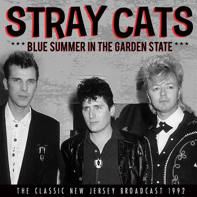 Blue Summer In The Garden State/Product Detail/Rock/Pop