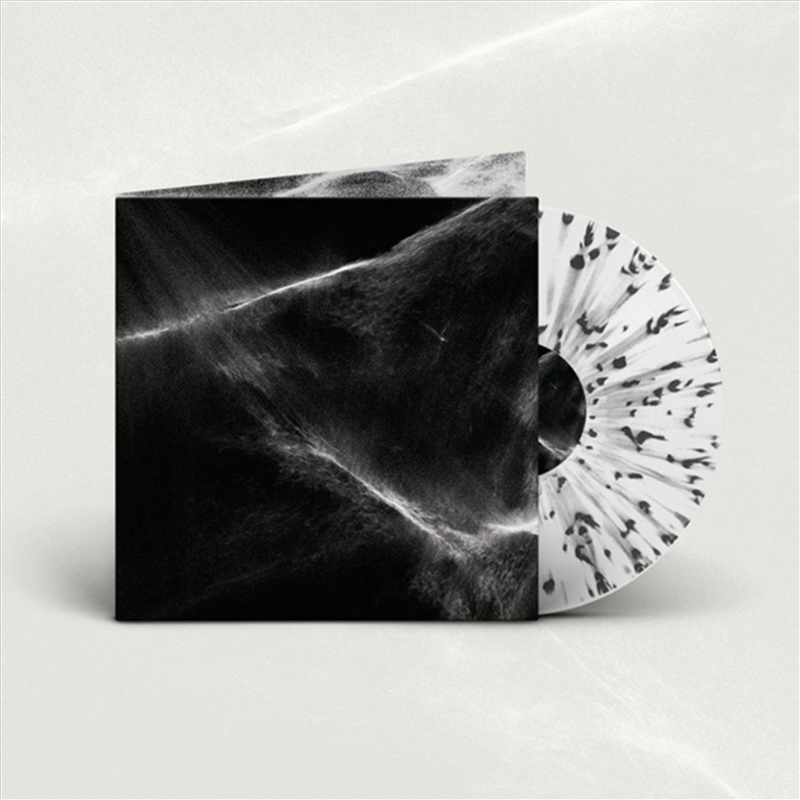 Final Light (White/Black Splatter Vinyl)/Product Detail/Metal