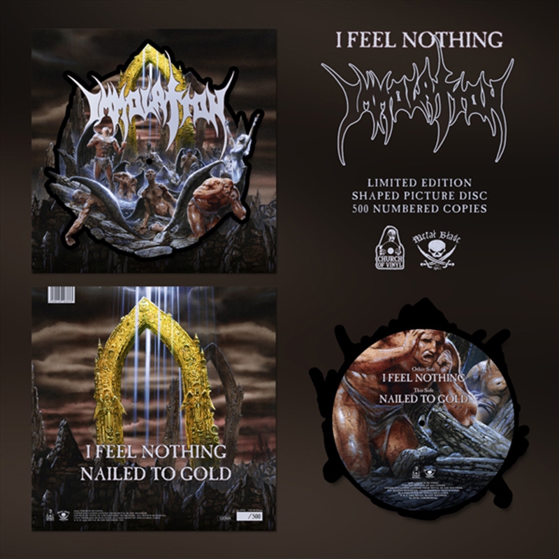 I Feel Nothing (Shaped Picture Disc)/Product Detail/Metal