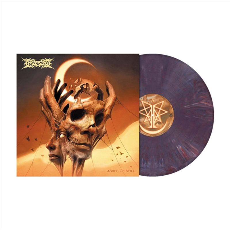 Ashes Lie Still (Violet Purple Marbled Vinyl)/Product Detail/Metal