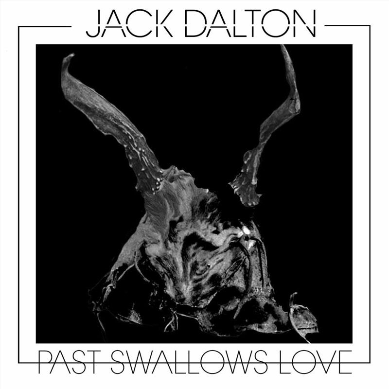 Past Swallows Love/Product Detail/Rock/Pop