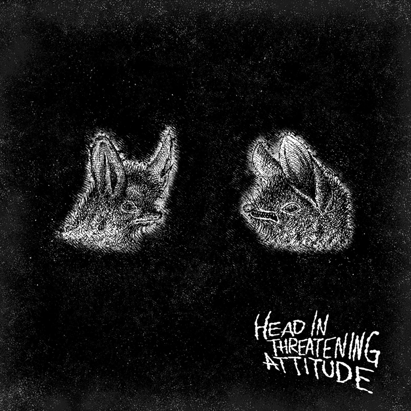 Head In Threatening Attitude/Product Detail/Punk