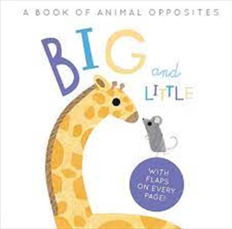 Big And Little/Product Detail/Early Childhood Fiction Books