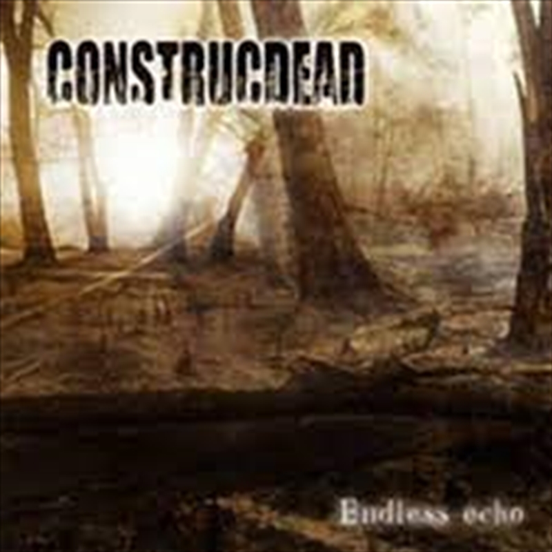 Endless Echo/Product Detail/Rock