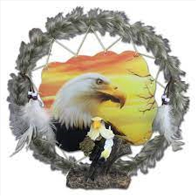 Eagle Head Dreamcatcher Plaque with Holographic Artwork/Product Detail/Posters & Prints