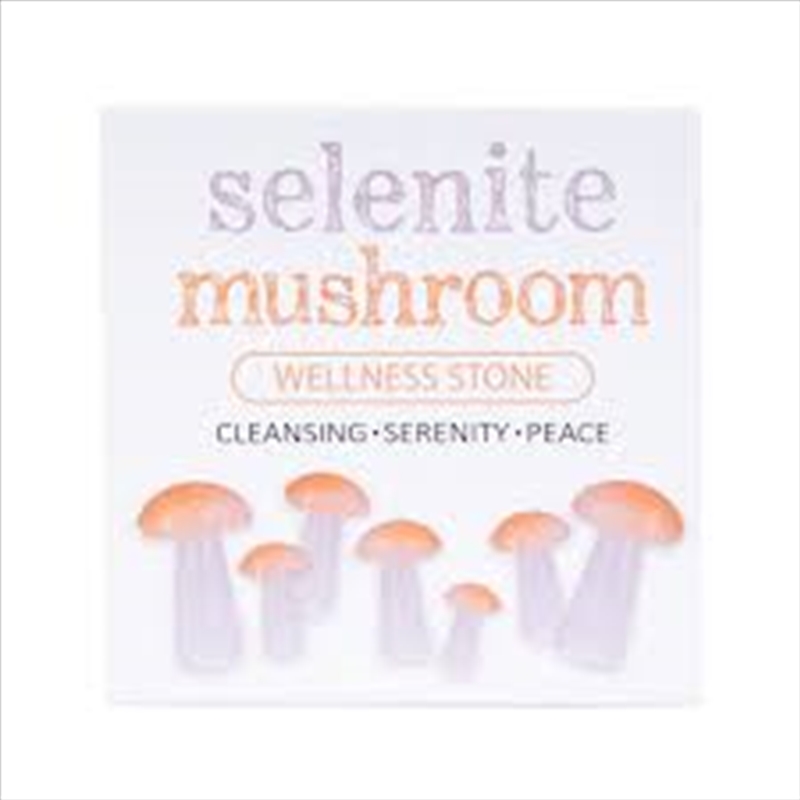 Gemstone Selenite Mushroom/Product Detail/Gems