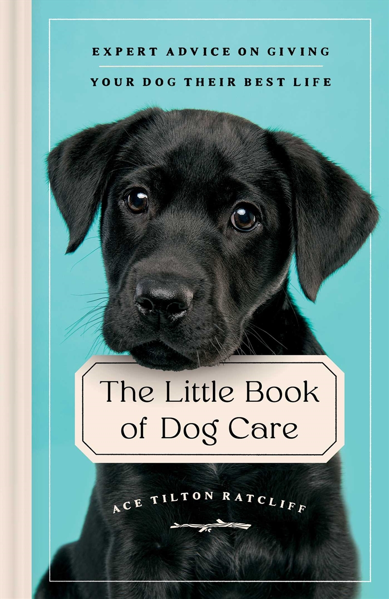 The Little Book of Dog Care/Product Detail/Animals & Nature