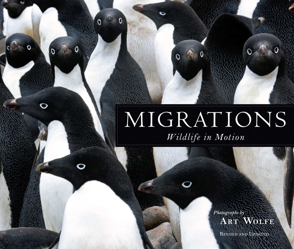 Migrations/Product Detail/Arts & Entertainment