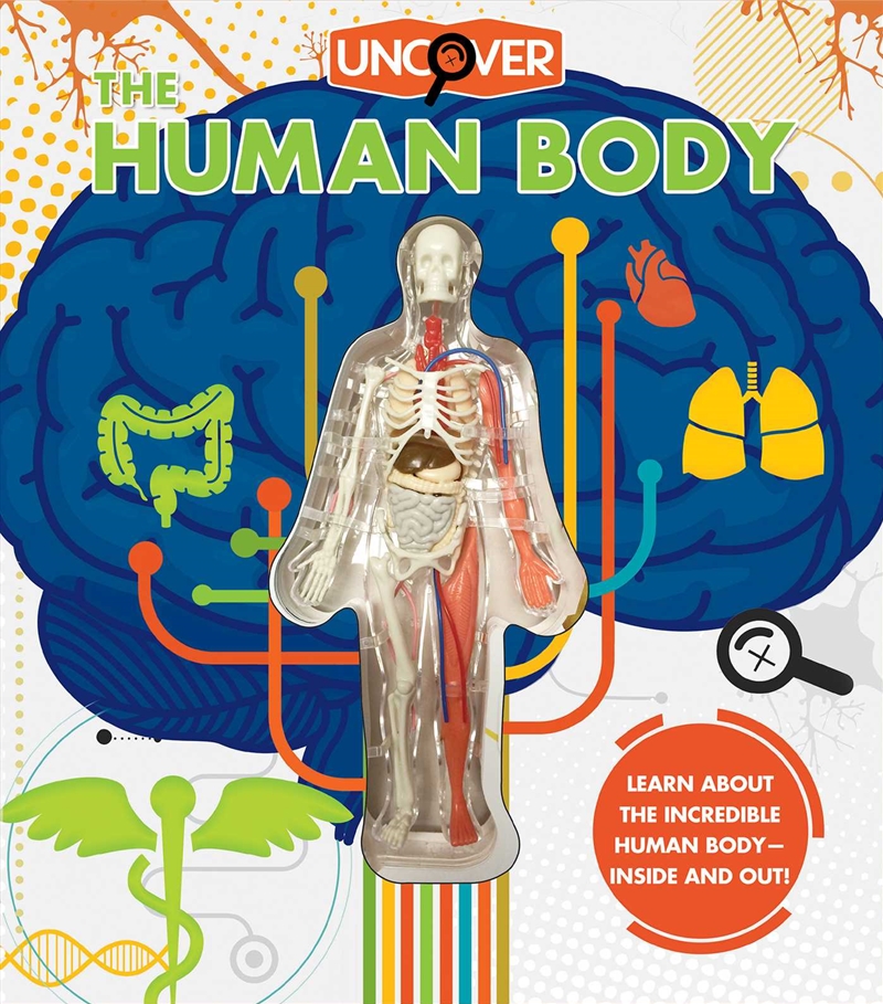 Uncover the Human Body/Product Detail/Science