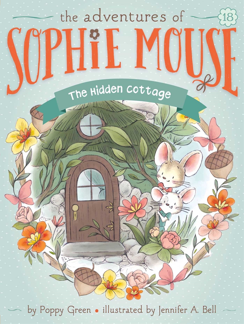 The Hidden Cottage/Product Detail/Childrens Fiction Books