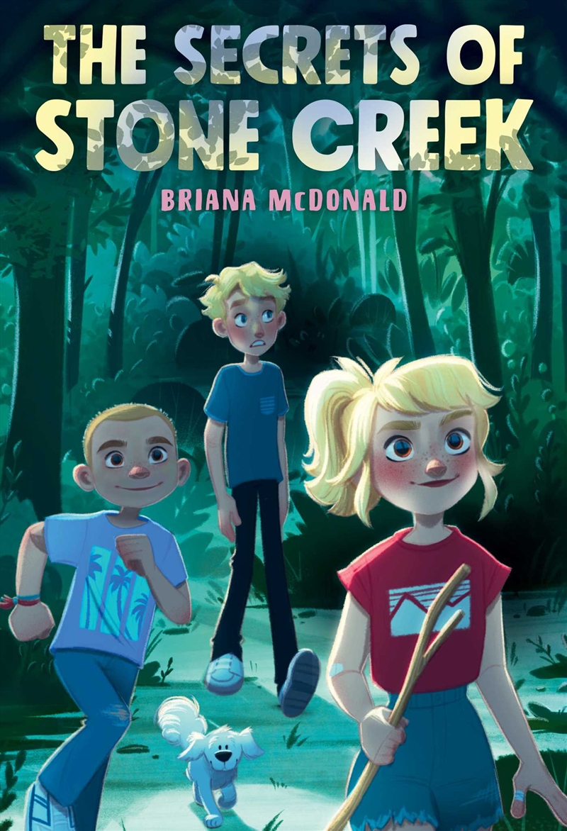 The Secrets of Stone Creek/Product Detail/Young Adult Fiction