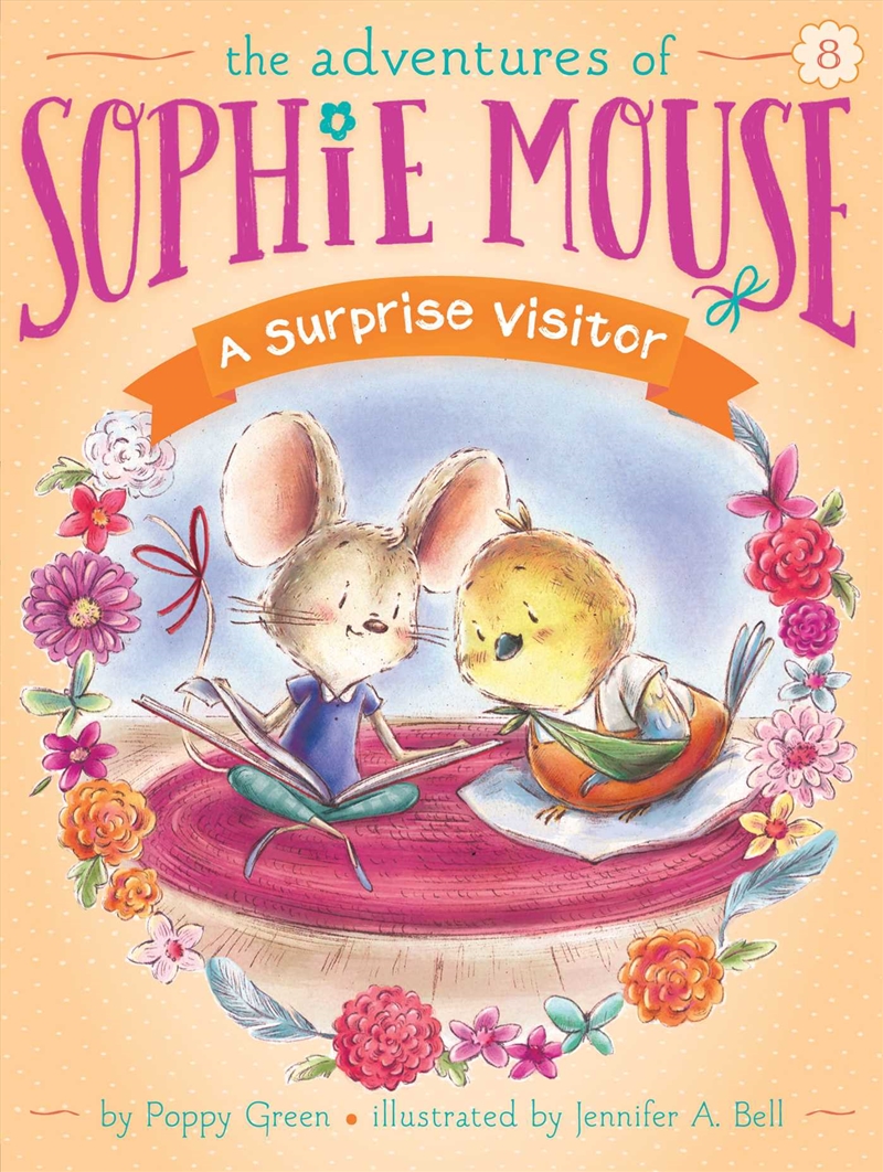 A Surprise Visitor/Product Detail/Childrens Fiction Books