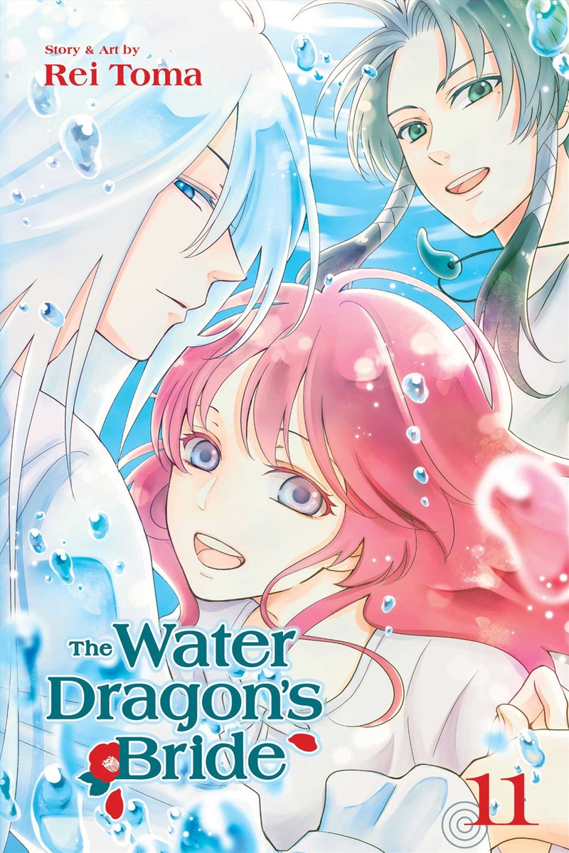 The Water Dragon's Bride, Vol. 11/Product Detail/Manga