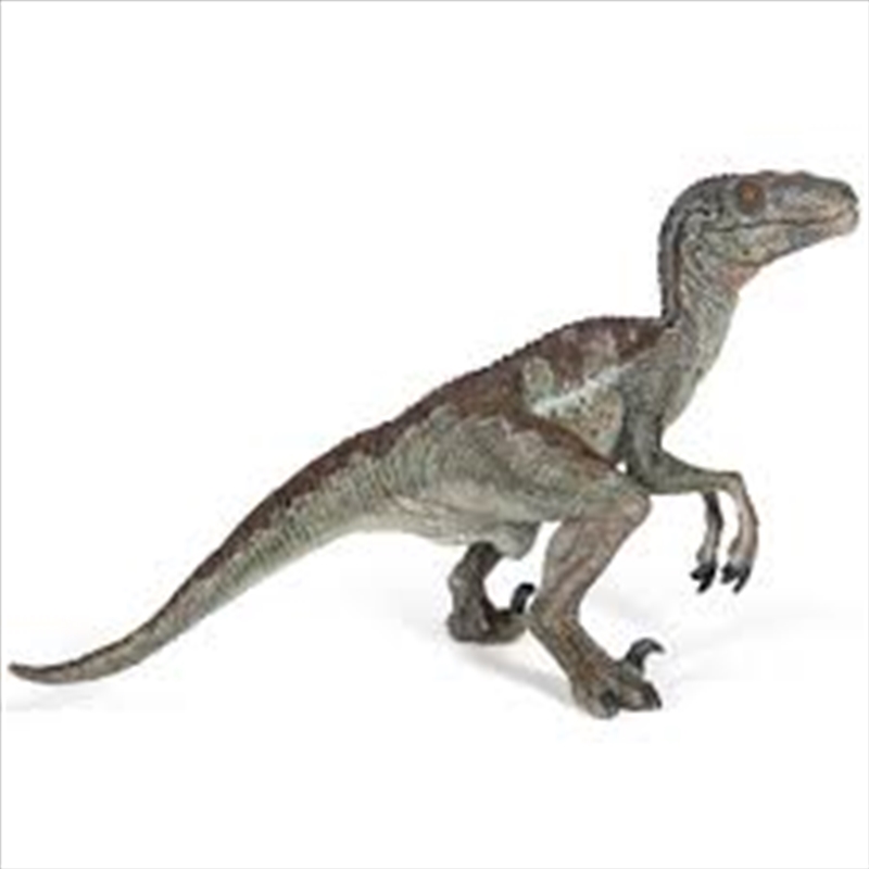 Papo - Velociraptor  Figurine/Product Detail/Figurines