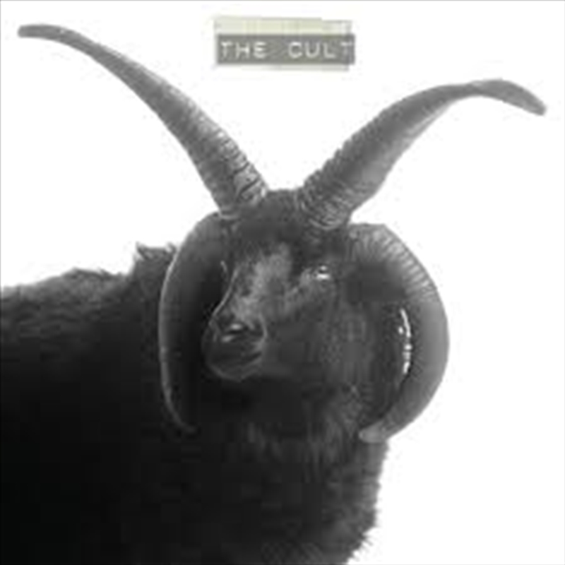 The Cult/Product Detail/Metal