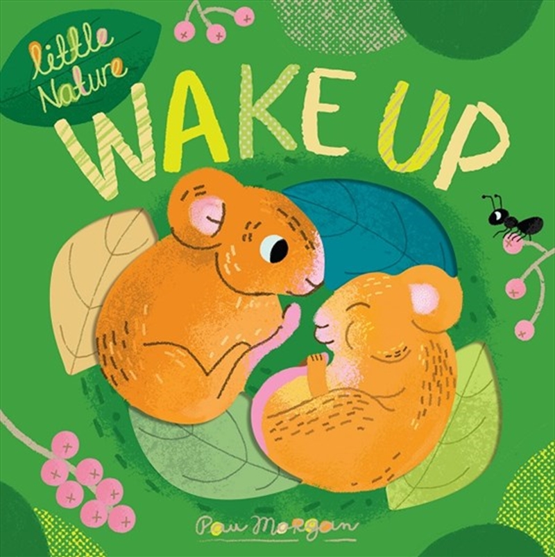 Wake Up/Product Detail/Early Childhood Fiction Books