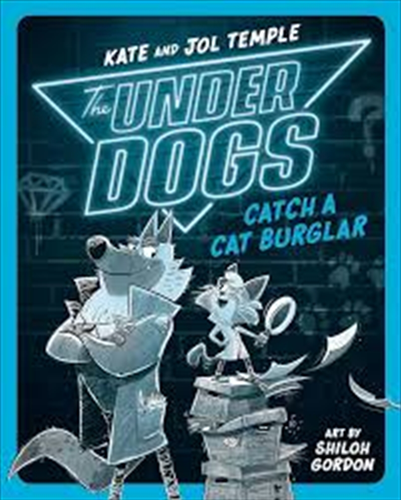 Underdogs Catch A Cat Burglar, The/Product Detail/Childrens Fiction Books